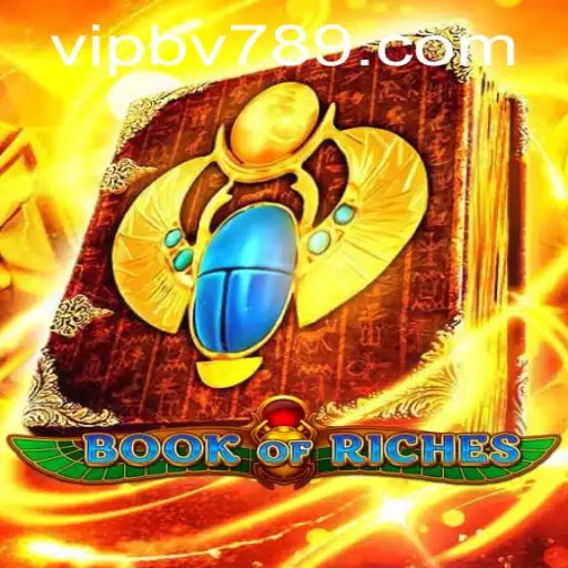 Exploring the Enigmatic World of BookofRiches: A Complete Guide