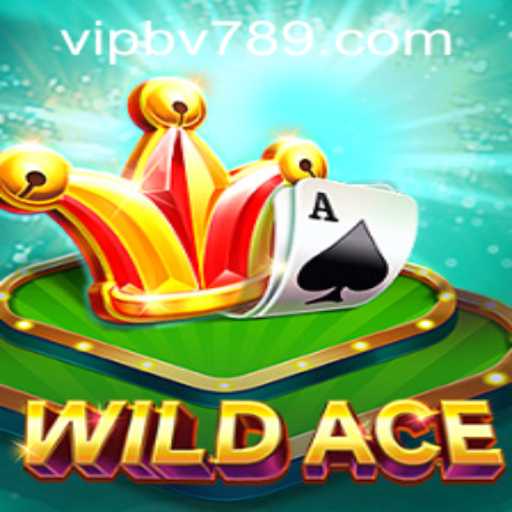 Exploring the Thrilling World of WildAce: An Immersive Gaming Experience