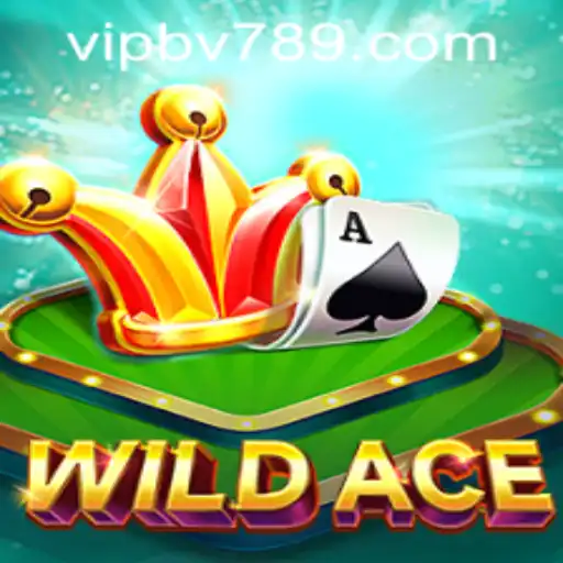Exploring the Thrilling World of WildAce: An Immersive Gaming Experience